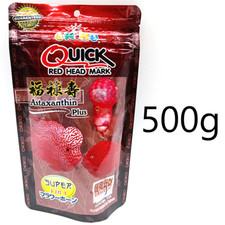 500g Okiko Flowerhorn QUICK