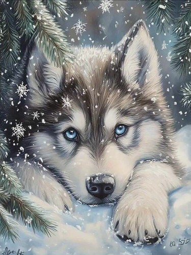 Husky snow diy diamond - snow,
