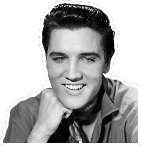 Elvis photo sticker - elvis,