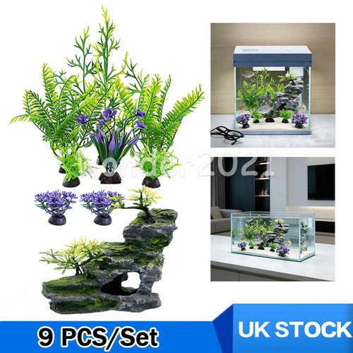 Pcs set aquarium - aquarium, fish