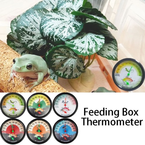 Lizards reptile hygrometer - lizards,