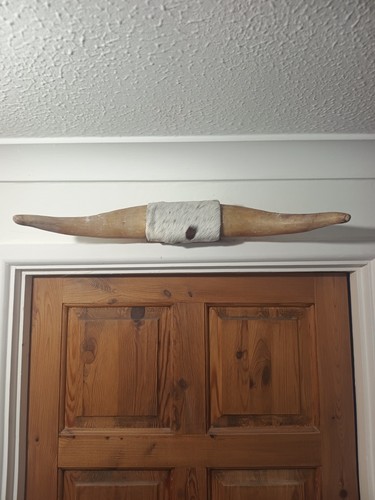 Taxidermy domestic bull - domestic, horns