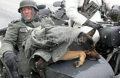 Ww2 picture photo waffen - ww2,
