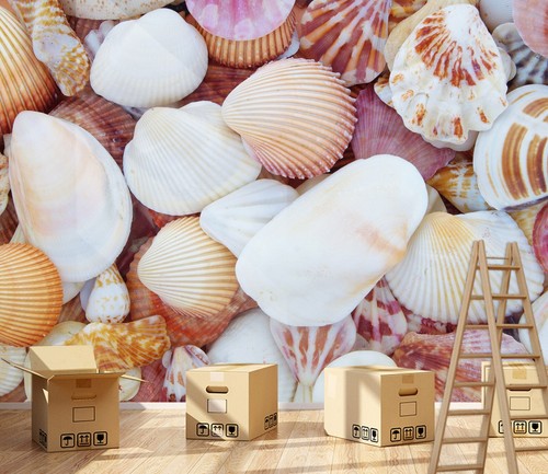 White shell r8249 - white,