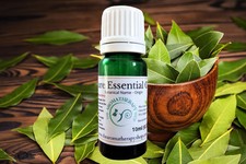 Bay Leaf Pure Essential Oil / Organic