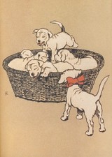 Cecil Aldin Dog Prints The