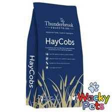 Thunderbrook Equestrian