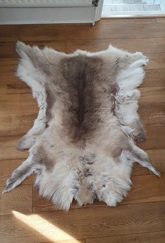 Norwiegen reindeer caribou fur - reindeer,