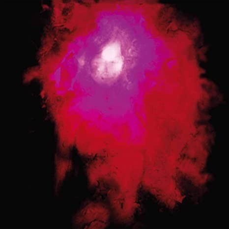 Porcupine tree up - tree,