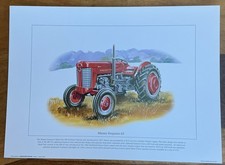 Massey Ferguson 65  coloured