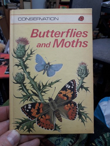 Vintage ladybird book - vintage,