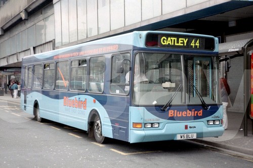 Bus photo bluebird - bus,