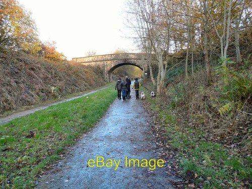 Photo 12x8 dog walkers - dog, on