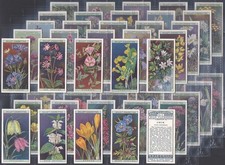 WILLS-FULL SET- WILD FLOWERS