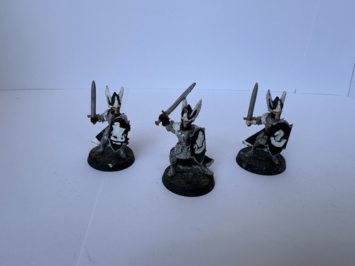 Knights dol amroth - knights,