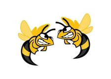 Angry hornet vinyl stickers - , x