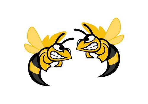 Angry hornet vinyl stickers - , x