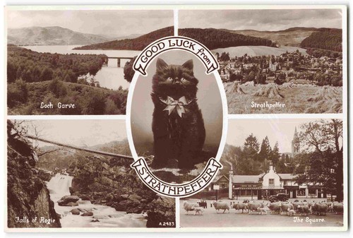 Strathpeffer multiview lucky - multiview,