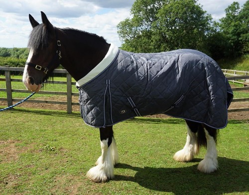 Ruggles heavy horse 100g - ruggles,