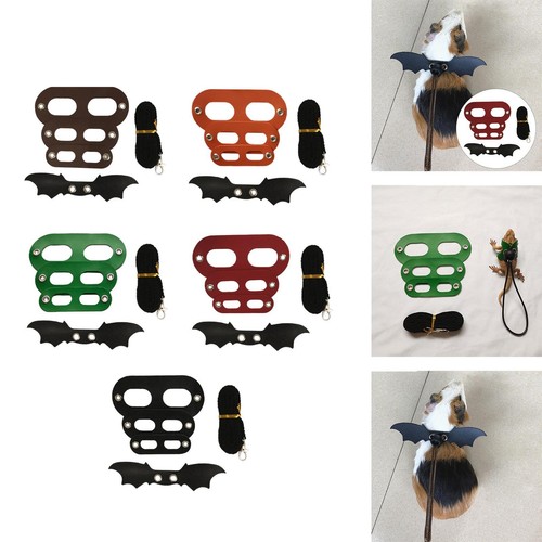 Set lizard leash amphibians - 1,