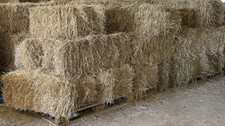Hay. Small Bales, Warwickshire
