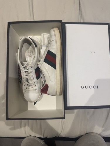 Gucci ace men trainers - ace,