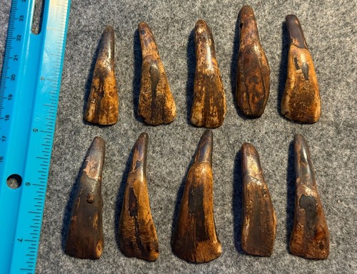 Original 1800 drilled - original, 1800's