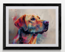 Labrador Dog Framed Canvas