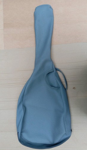 Acoustic guitar case - acoustic,