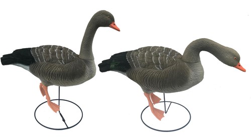 Greylag standing decoy full - decoy,