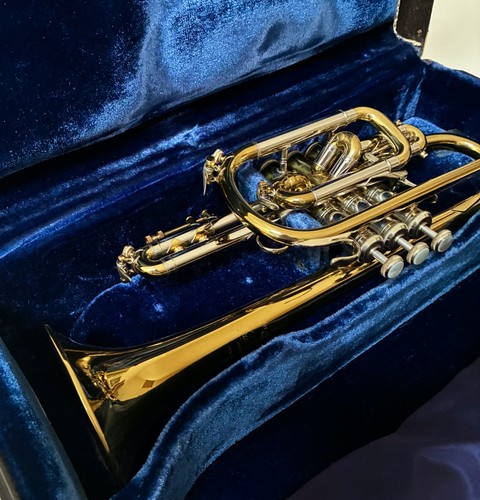 Bach stradivarius cornet - 37,