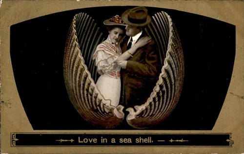 Love sea shell mabel to - love, in