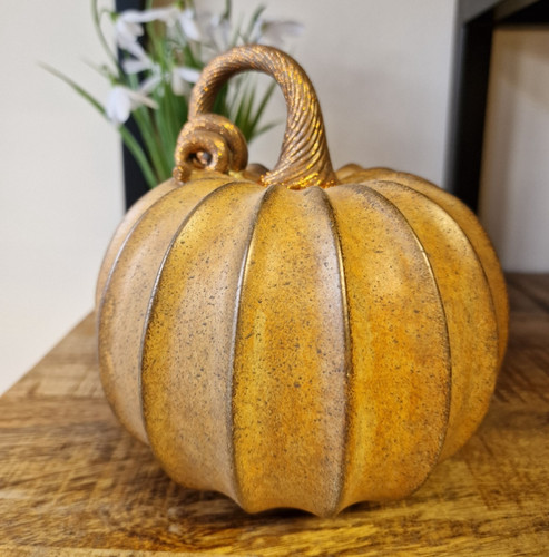 Beautiful orange pumpkin - beautiful,