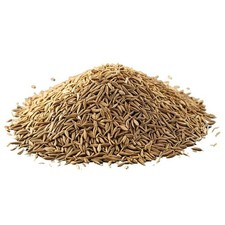 Spices Market -Cumin Seeds