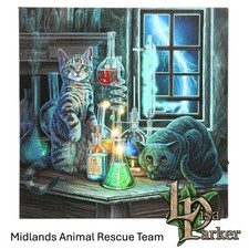 Jekyll & Hyde Light Up LED