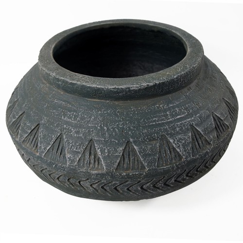 Large planter plant - plant, pot