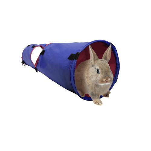 Rabbit guinea pig - guinea, ferret
