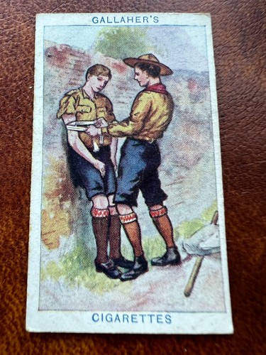 Gallaher cigarette card - gallaher,