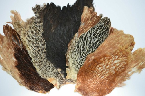 Hen capes dyed natural - dyed, fly