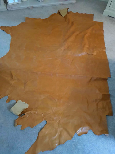 Crest leather hide old - leather,