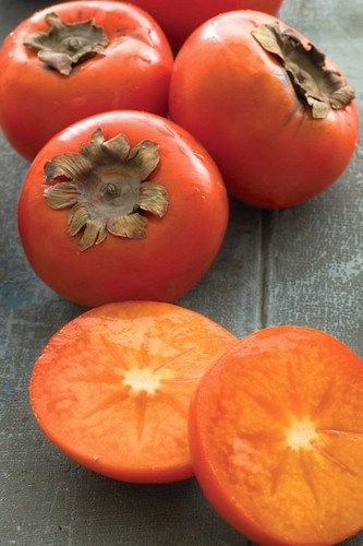 American persimmon tree - american,