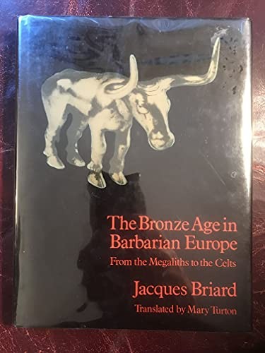 Bronze age barbarian - bronze, in