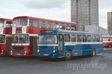 Bus Photo - Kelvin Scottish NMS571M Leopard & Central Scottish LHS751V Ailsa