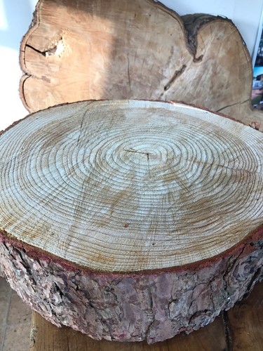 Rustic log slice - rustic,