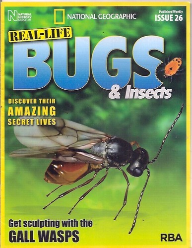 Real life bugs - bugs, &