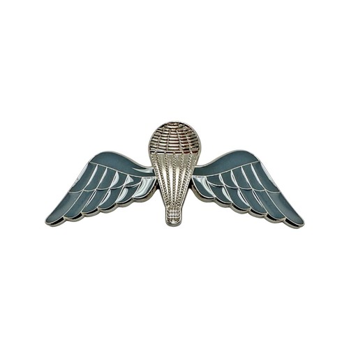 British silver blue - british, silver/blue