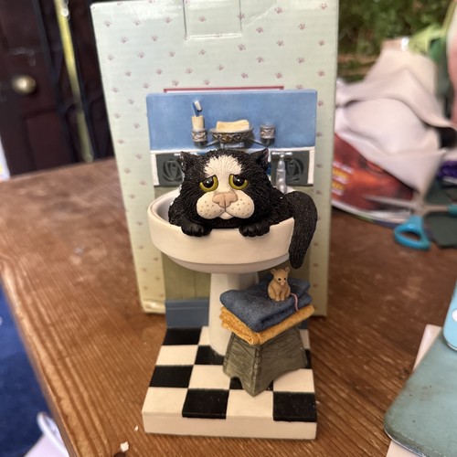 Comic curious cats - cats, linda