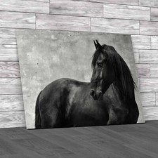 Optimizing Horse Stallion Metadata For Seo Black White Canvas Print Large