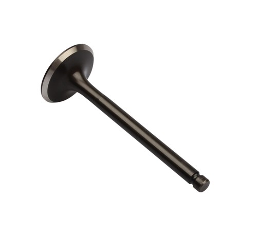 Exhaust valve for yamaha - valve, xv