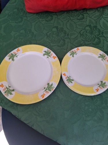 Melamine dinner and side